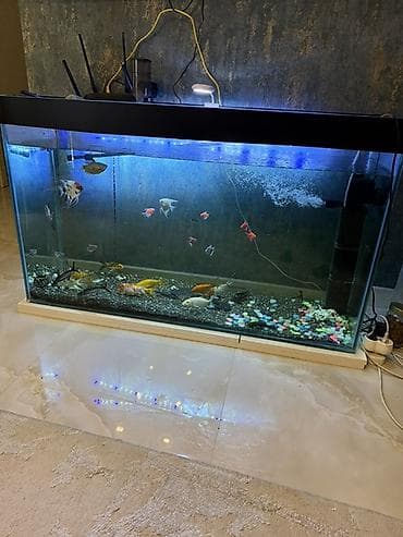 Böyük həcmli şüşə akvarium 350 litr– tam işlək komplekt — 4