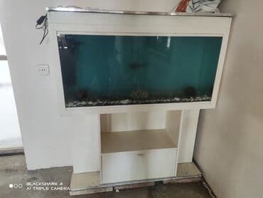 akvarium bitkileri: Akvarium-şkaf, Boş, 500 l, Ünvandan götürmə — 1