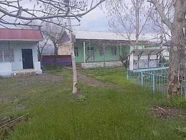 bilgeh bag evi: Biznes üçün, Mülkiyyətçi, Kupça (Çıxarış) — 2