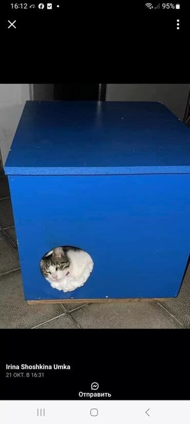 goyərcin yuvaları: Rəngli taxta heyvan evi/budaq evciyi - Material: taxta konstruksiya — 34