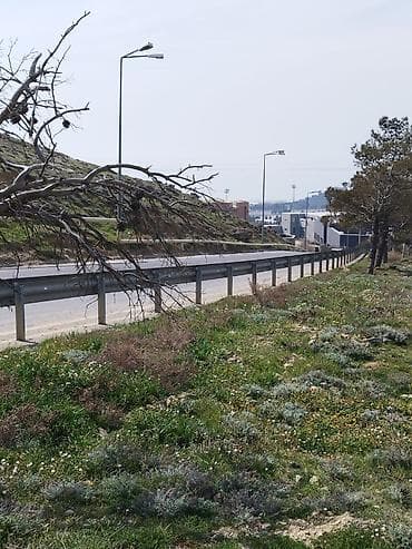 12 sot, Tikinti, Mülkiyyətçi, Kupça (Çıxarış)