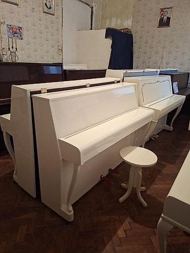 Zərb alətləri: Piano, Akustik, Yeni, Pulsuz çatdırılma — 1