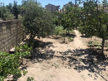 abşeron gənclər şəhərciyi: Kənd təsərrüfatı, Mülkiyyətçi, Kupça (Çıxarış) — 6