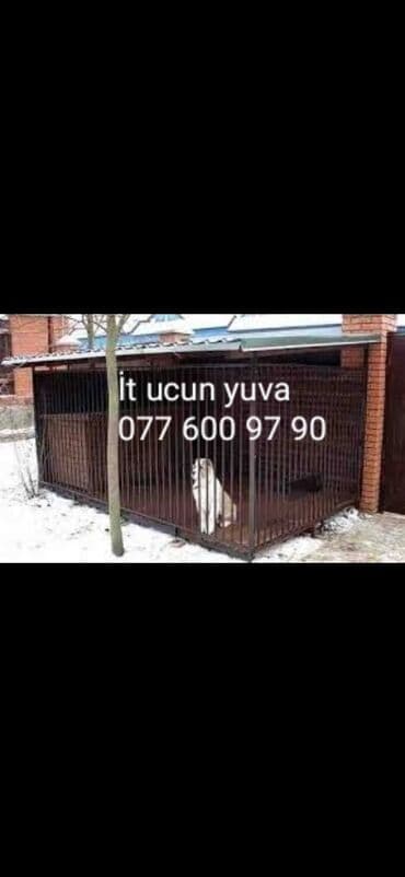 arı yuvası: . Salam it ucun yuva yiğiriq buyurub zəng vura — 1