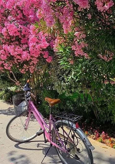 Б/у Городской велосипед Salcano, 26", скоростей: 21, Самовывоз