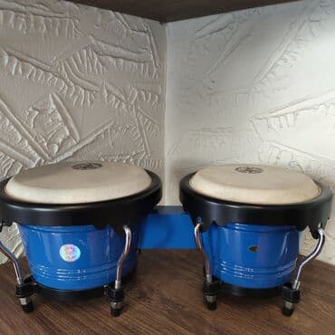 bongo: Bongo
Extreme — 1