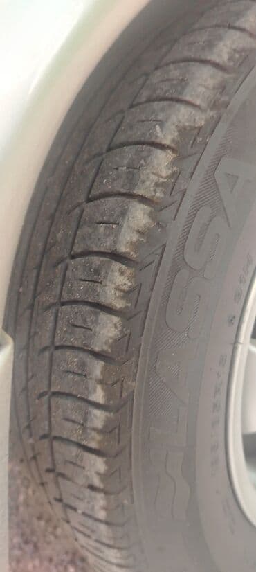 teger: Şin Lassa 195 / 65 / R 15 — 2