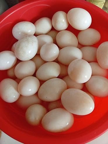 plastik yumurta: Pekin kuban ördək yumurtaları tam mayalı sifariş üçün buyurub yaza — 1