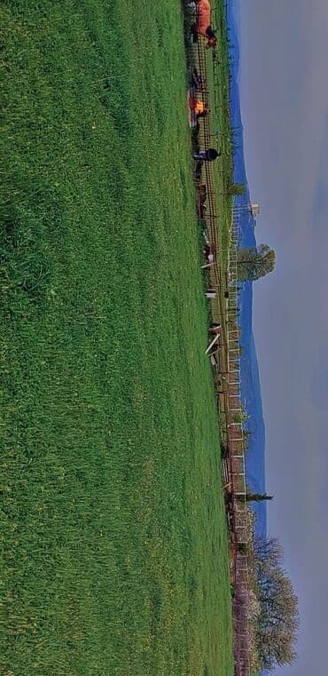 аренда земли под шиномонтаж: 10 соток Для сельского хозяйства, Газ, Электричество, Водопровод — 8