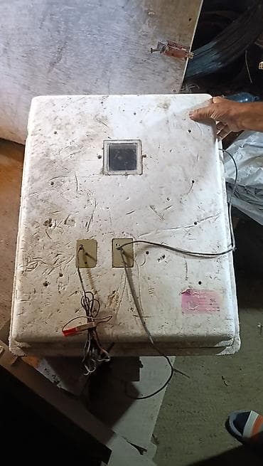 100 yumurta, Rusiya, Bütün növ quşlar üçün — 1