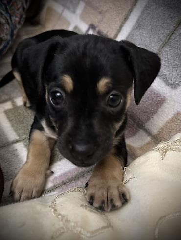 2 месяца — 2