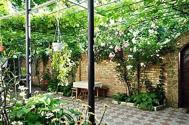 zvonok it satisi: 1 ay, Erkek, Ünvandan götürmə — 1