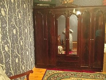 6 qapı, Qəhvəyi, Taxta, Açılan, Düz dolab