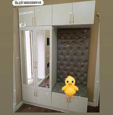 2 qapılı, Güzgülü, Ağ, Digər material, Açılan, Düz dolab