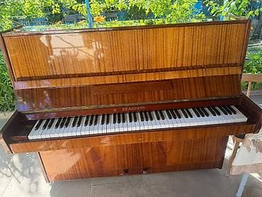 İdman və hobbi: Piano, Belarus, Akustik, İşlənmiş, Ünvandan götürmə, Pulsuz çatdırılma, Ödənişli çatdırılma — 2