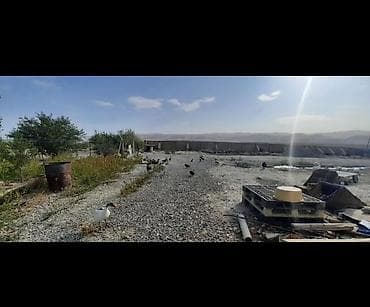 otaq: Ferma kompleksi – heyvandarlıq və quşçuluq üçün hazır infrastruktur — 4