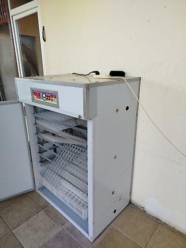 Konteynerlər: Tam avtomat — 4