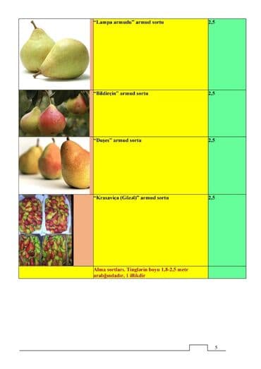 Çöl bitkiləri: Meyvə və dekorativ ağac tingləri Təsvir: - Tərtər rayonu ərazisində — 9