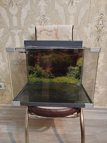Dördbucaq akvarium, Boş, 63 l