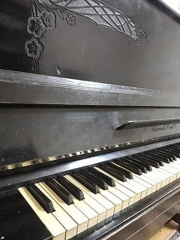 gitara ucun pedal: Piano, Rostov-Don, Akustik — 3