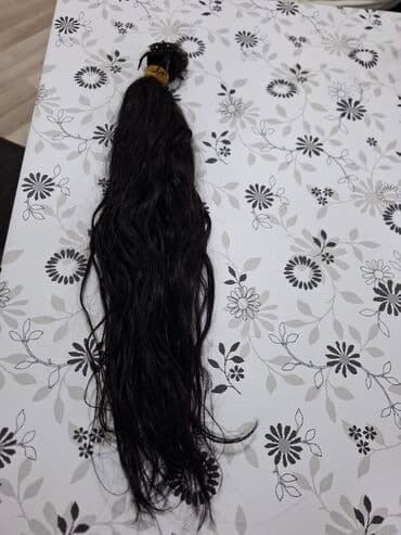 homm bitkisel azerbaycan kataloq 2024: Digər — 2