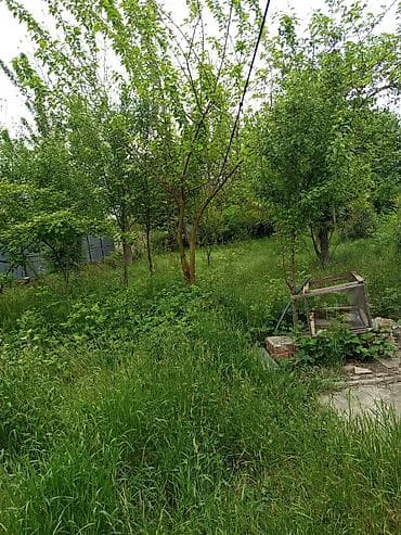 torpag: Tikinti — 1