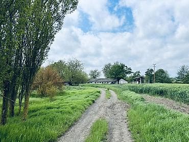 Kənd təsərrüfatı, Kupça (Çıxarış)
