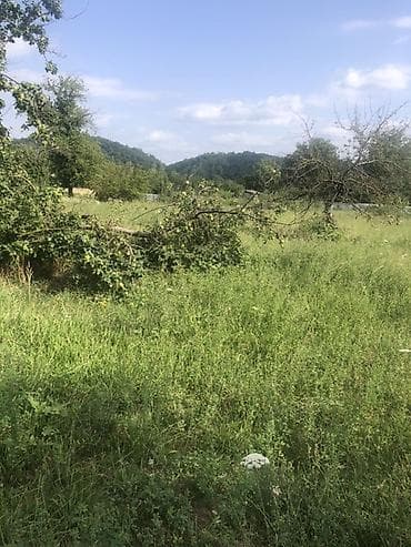 52 sot, Barter mümkündür, Kupça (Çıxarış)