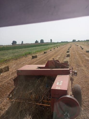 Dam örtükləri: Pres baqlyan — 2