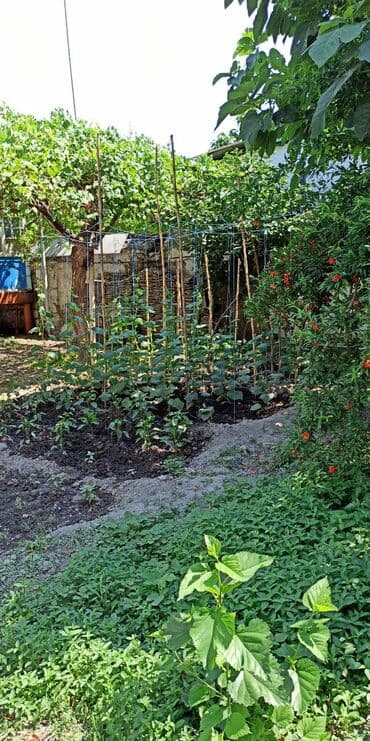 bakixanov kiraye ev: 5 otaqlı, 250 kv. m, Kredit yoxdur, Təmirsiz — 21