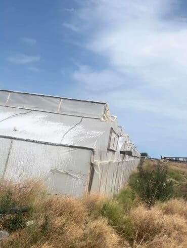 qaxda obyekt satilir: Tecili obyekt satilir!!! Zire Qesebesi, Qishlaqda 2 hektar 20 sot ve — 5