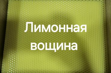 свечи из вощины свойства: Şam Arı mumu — 1