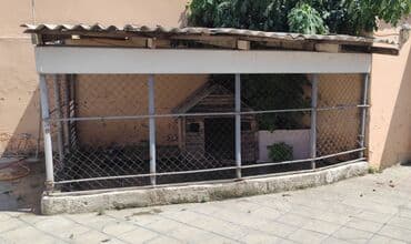 göyərçin yuvaları: Tecili Satılır: Spaniel cinsi it və yuvası (tam dəst) ✅ Ev şəraiti — 1