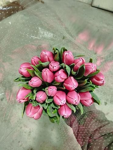 🌷 Tülpan Buketləri 🌷 Beynəlxalq Qadınlar Günü münasibətilə təzə və