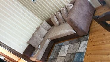 otaq bitkilərinin adları: Künc divan, Divan — 1