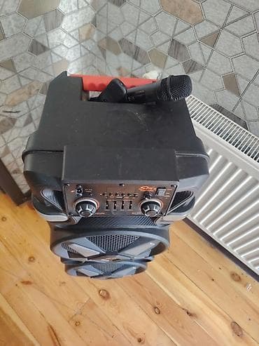 flash kart: Səs gücləndirici/karaoke kolonka – Sing-e ZQS12205 - İnteqrə olunmuş — 3
