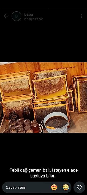 şanlı bal: Təbii dağ-çəmən balı - Arı pətəklərindən yeni süzülmüş saf bal - Dağ — 1