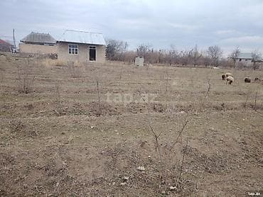 binede torpag: 42 sot — 4