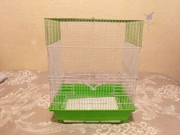 alman afçarkası balası: Qəfəslər yenidi Hündürlüyü 46,5 uzunugu 36,5 eni 28sm qiymət sondur — 10
