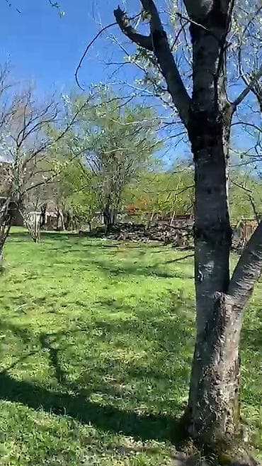 cepis satisi: 5 sot, Tikinti, Mülkiyyətçi, Kupça (Çıxarış) — 1