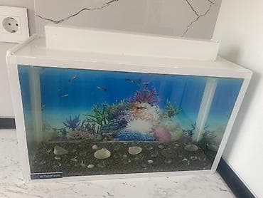 kompresör 100 lt: Dördbucaq akvarium, Balıqlarla birlikdə, 20 l, Ünvandan götürmə — 1