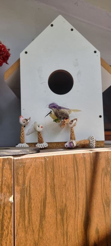 лоток для кошек баку: Домики — 2