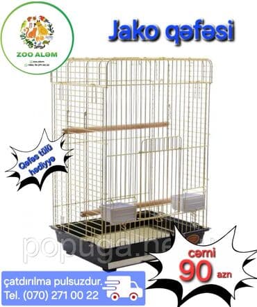 popuqay qefesi: Tutuquşu qəfəsi (Jako qəfəsi) Keyfiyyətli qəfəsdi.Üstü açılır sevimli — 1