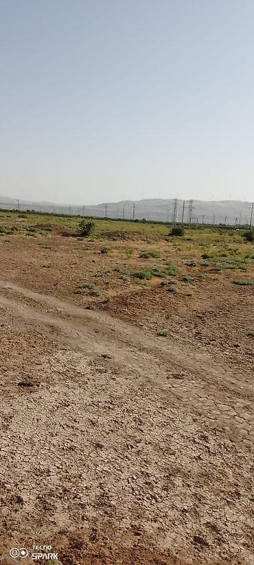 savalan torpag: 119 sot, Biznes üçün, Mülkiyyətçi, Kupça (Çıxarış) — 8