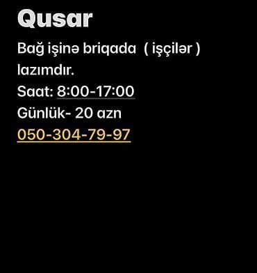 Qusar rayonunda bağ işləri üçün briqada (işçilər) axtarılır. - İş lalafo.az -da Qusar rayonunda bağ işləri üçün briqada (işçilər) axtarılır. - İş