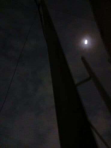 Salam Pitbul balasi axdariram Budce 100manata qederdir disi/erkey