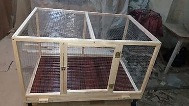 ev pişiyleri: Teze yixilma böyük ölçülərdə qəfəsler.alti padnosun.uzunluq — 7