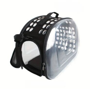 русская голубая кошка баку: Qara rəng — 1