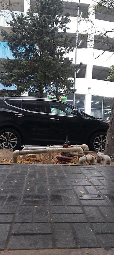 kiray: Ofis şəxsidir çıxarışı qeyriyaşayışdır yeri Sarapskiplaza ərazisi 5 — 10