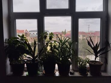 азербайджан недвижимость продажа: Səbail r.Badamdar qəs.MTN Hospitalin yani.Dəniz mənzərəli 5 mərtbe das — 3